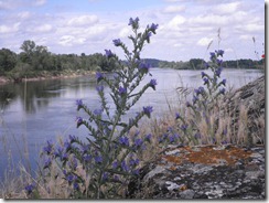 P7050043