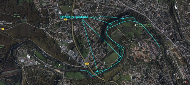 Parcours Fritillaire-Poitiers