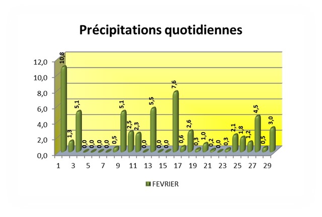 Précipitations quotidiennes