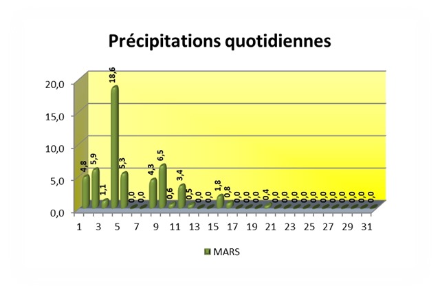 Précipitations quotidiennes