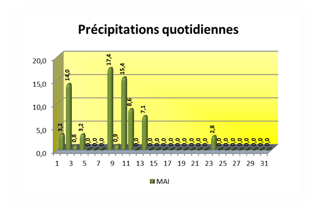 Précipitations quotidiennes