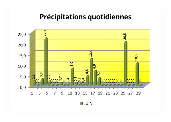 Précipitations quotidiennes