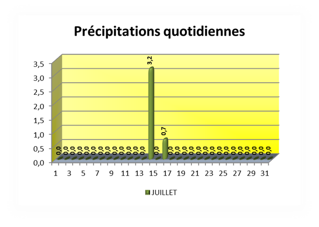 Précipitations quotidiennes