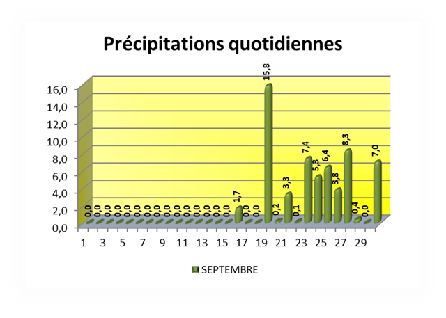 Précipitations quotidiennes