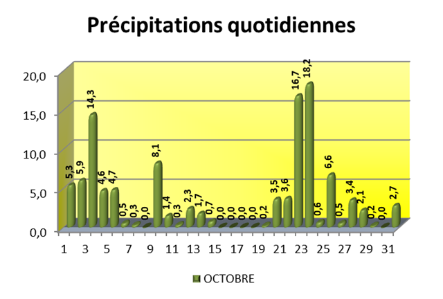 Précipitations quotidiennes