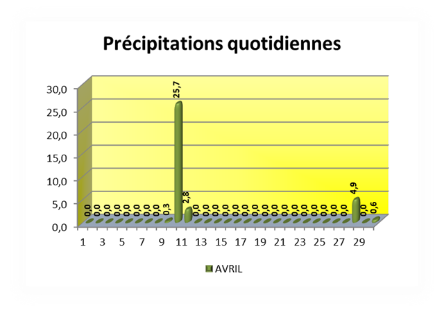 Précipitations quotidiennes