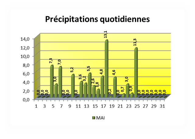 Précipitations quotidiennes