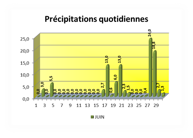 Précipitations quotidiennes