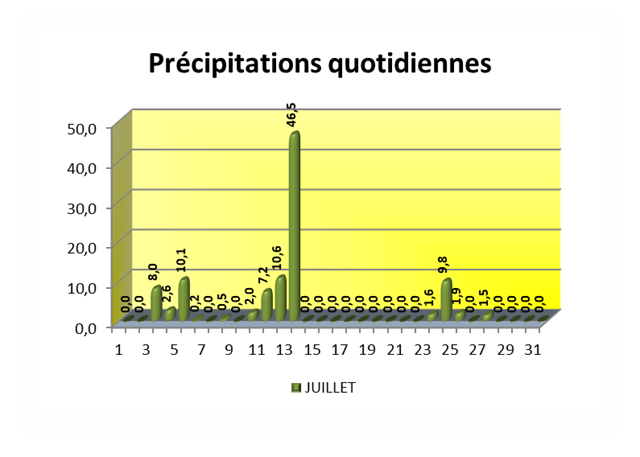 Précipitations quotidiennes