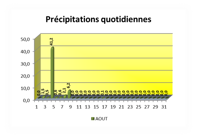 Précipitations quotidiennes