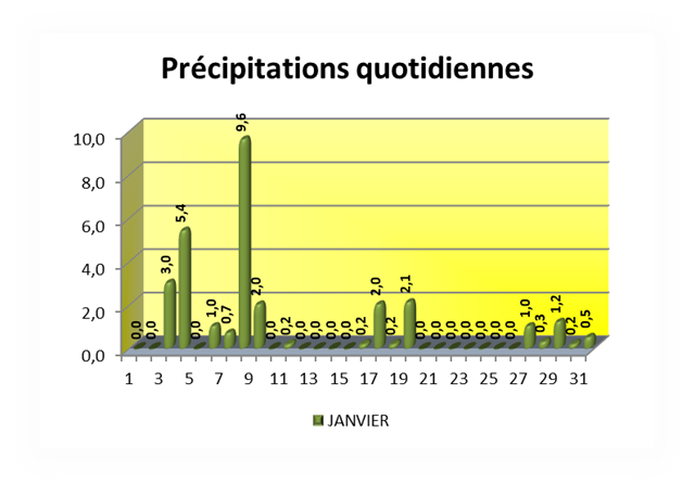 Précipitations quotidiennes