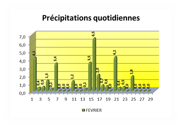 Précipitations quotidiennes