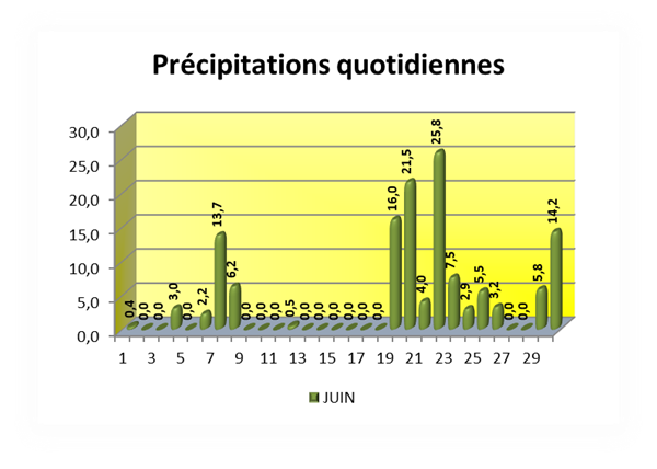 VOEU Précipitations quotidiennes