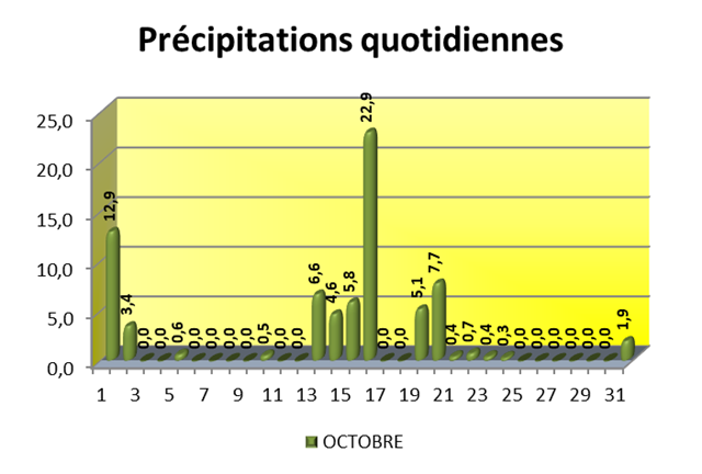 VOEU Précipitations quotidiennes