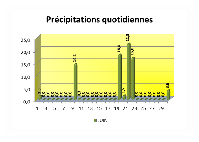 VOEU Précipitations quotidiennes