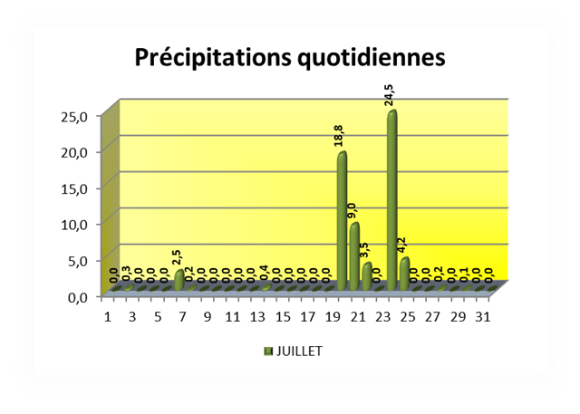 SEMOUSSAIS Précipitations quotidiennes