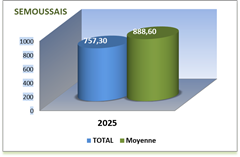 SEMOUSSAIS ANNEE 2025